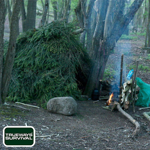 Load image into Gallery viewer, Woodland Survival Course by Trueways Survival in UK
