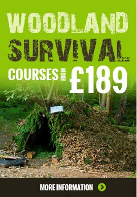 Woodland Survival Courses