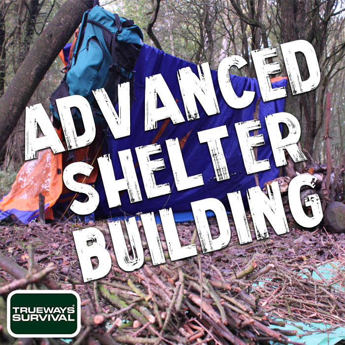 Advanced Shelter Building