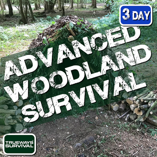 3 DAY ADVANCED WOODLAND SURVIVAL