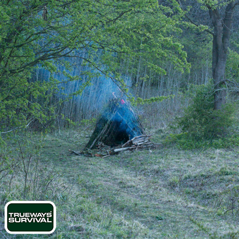 BASIC TO ADVANCED WOODLAND SURVIVAL by Trueways Survival