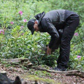 Gift Pack - 2 Day Basic Woodland Survival Course