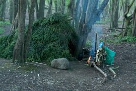 Advanced Survival Skills
