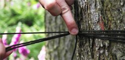 Survival Course knot tying